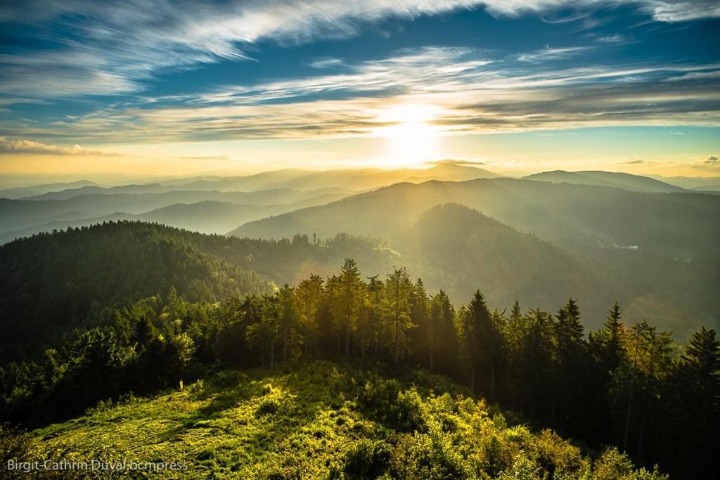 Schwarzwald-Traum Mit Pool Und Sauna Unterkirnach Zewnętrze zdjęcie